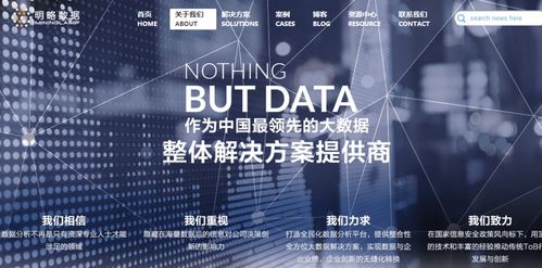 提供技術(shù)分析和應(yīng)用解決方案,明略數(shù)據(jù)要成為中國大數(shù)據(jù)分析應(yīng)用解決方案的獨(dú)角獸