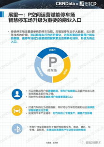2017中國智慧停車行業(yè)大數(shù)據(jù)報告 數(shù)據(jù)驅(qū)動的停車革新